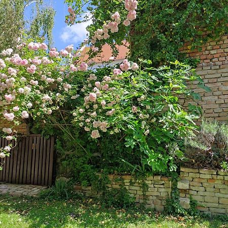 Patak28 Apartmanok Sopron Exterior foto